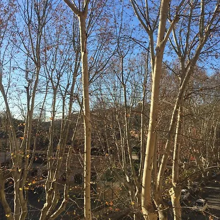 Apartment Nel Cuore Di Rom